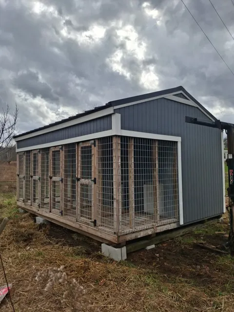 Past shed delivery and placement — photo 63